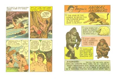 tarzan22-copy.jpg