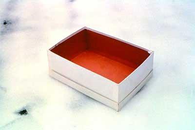 Caja de zapatos vacía