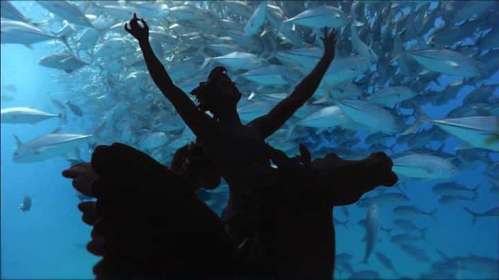 Azul Intangible Matinée de Reyes en la Cineteca Nacional, del 4 al 6 de Enero - Artes9